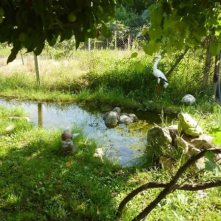 Jun 2* Белоградчик