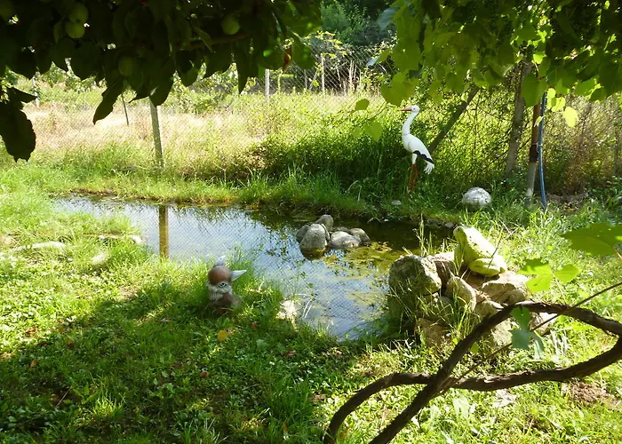 Jun 2* Bełogradczik